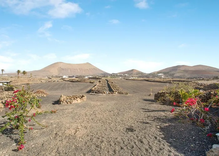 Estudio Pu La Vegueta